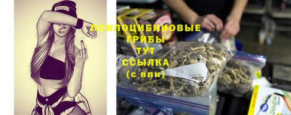 бошки Алексин